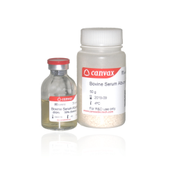 Bovine Serum Albumin (BSA), 30 % liquid