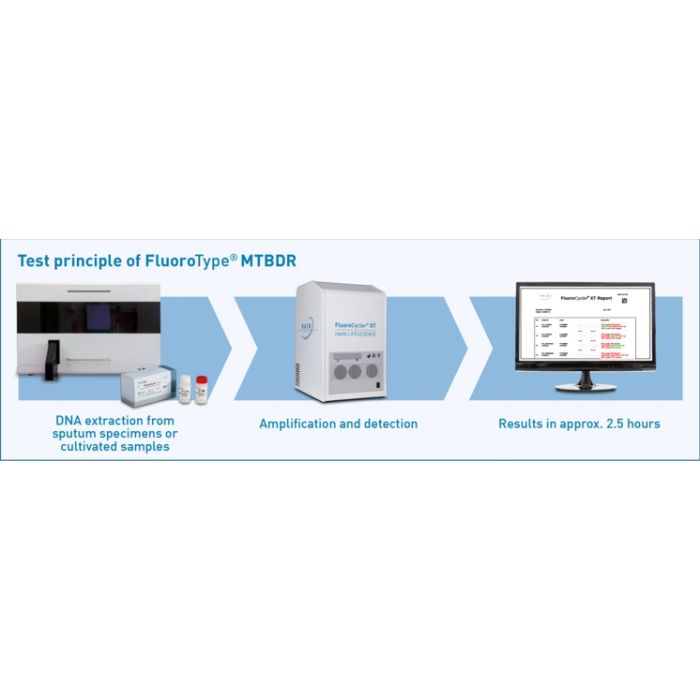 Fluorotype® Mtbdr Ver 2 0 Rifampicin Isoniazid Resistance Pcr Ce Ivd