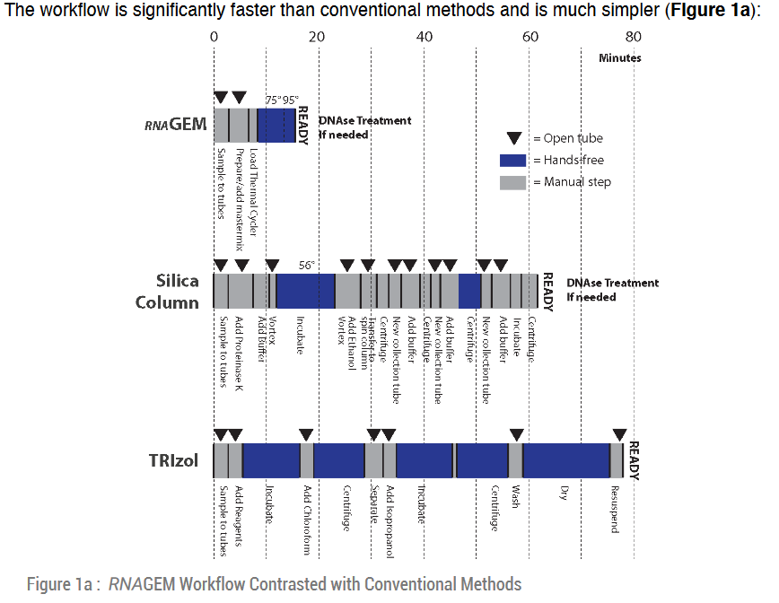 RNAGEM Workflow